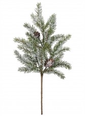 White Spruce Pick